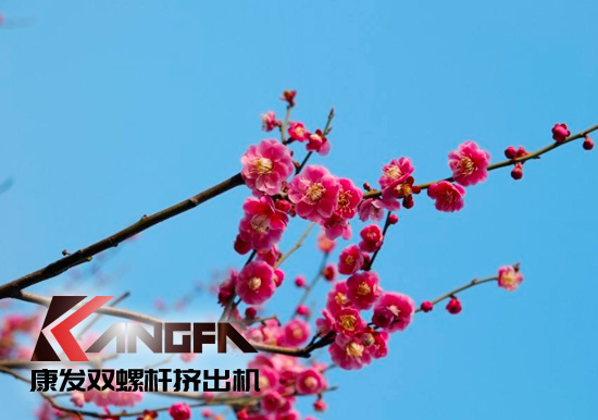 春光明媚,春意盎然！康發(fā)JSH系列雙螺桿造粒機(jī)組集中發(fā)貨 